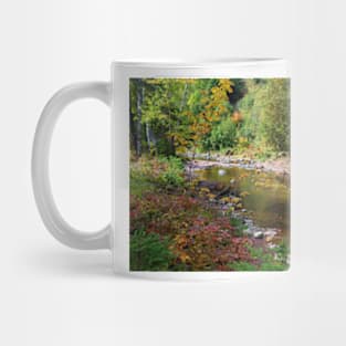 Follow The Fall Colors Mug